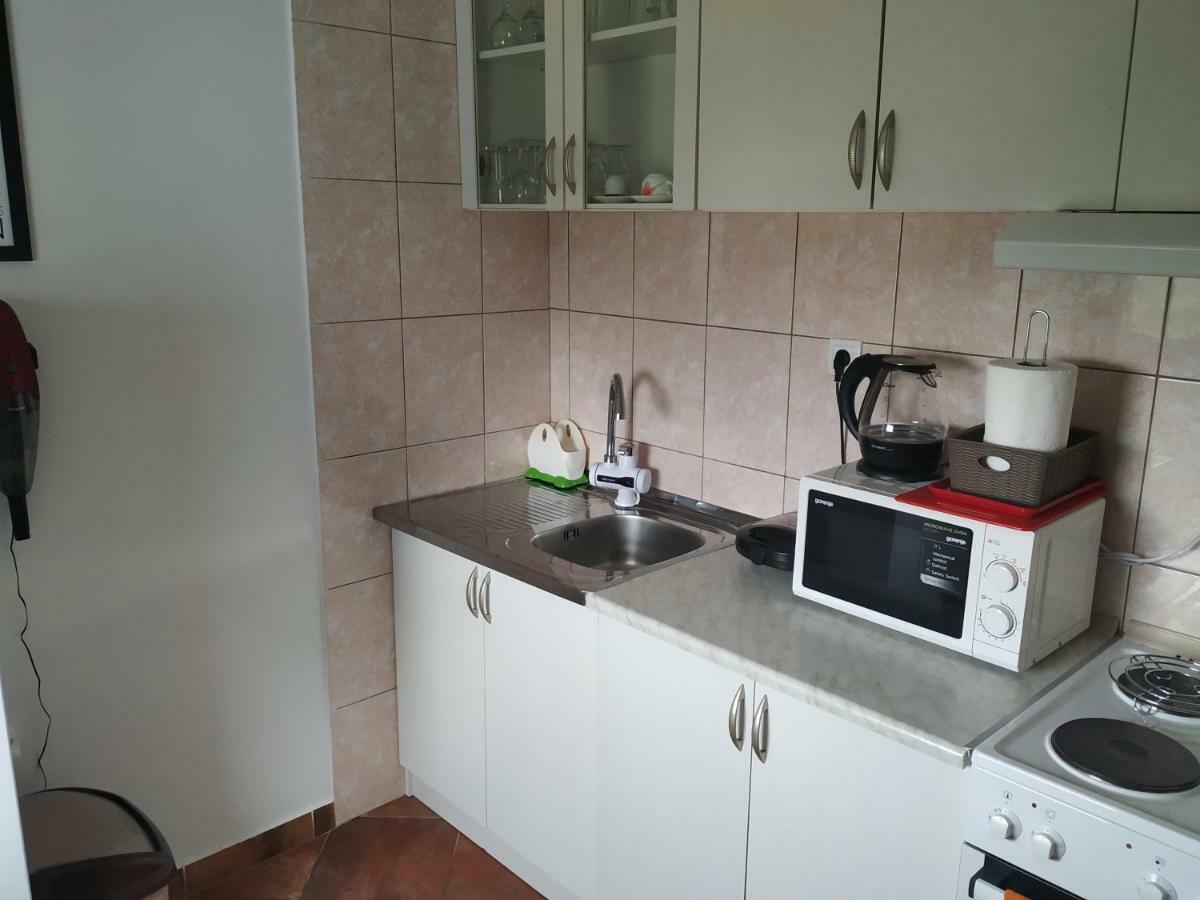 Apartment Dora Podgoriţa Exterior foto